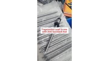 Trapezoidal Lead Screw with Anti-backlash Nut