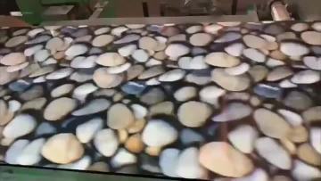 Prepainted Galvanized Steel Coil