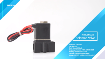 2P025-08 1/4'' 2 Way Normally Closed Plastic Solen