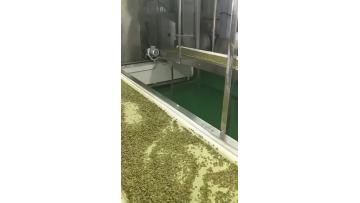 Pumpkin seeds