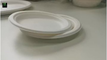 6 inch round plate