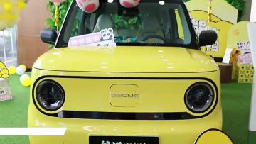xiongmao car