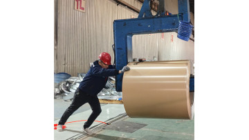 Application of polymer-coated metal sheets in home appliances