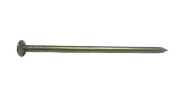 Polished and Galvanized Common Iron Nail1