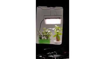 LED Grow Light 300W LED Full Spectrum Phyto Lamp Greenhouse Hydroponic Plant Growth Farm Vegetable Plant Flower  Light1