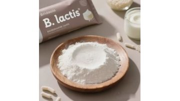 Bifidobacterium Lactis Powder