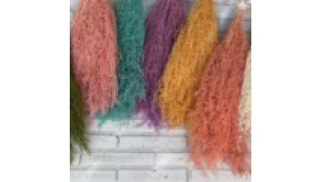 Factory Wholesale Natural Artemisia Oryzae Dried Flowers for Home Decoration1