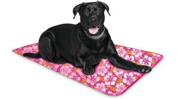  pet ice pad