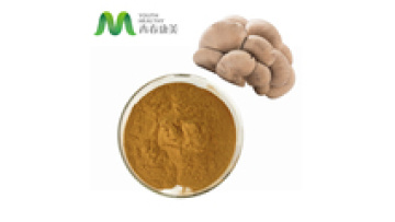 Chinese Manufacture Dried and Grinded Oyster Mushroom Powder1