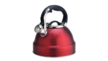 FH-336 Big Capacity Kettle Stainless Steel kettle