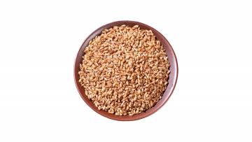 Biota Seed For Herb Use