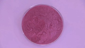 black Elderberry Powder
