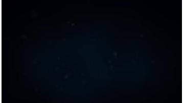 Company Profile