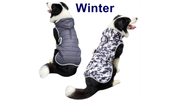 great pet clothing