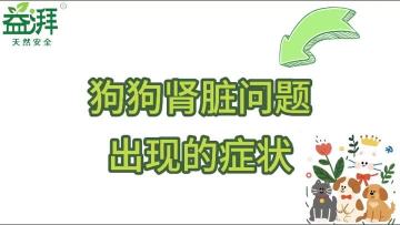 Canine Kidney Disease Symptoms