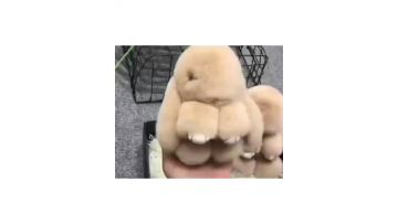 Bunny plush pendant