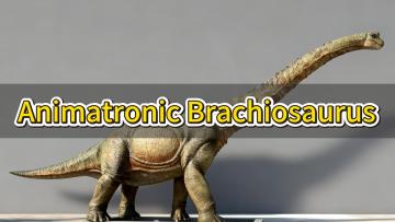 12m Animatronic Brachiosaurus