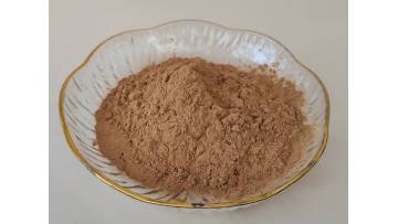 Reishi Mushroom Extract