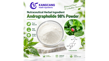 Natural Botanical Extract Andrographolide 98% Powder