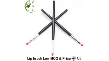 Mini Lip Brush