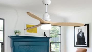 220v ceiling fan with light