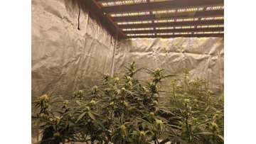 1000w led grow light