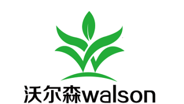 walson groupe