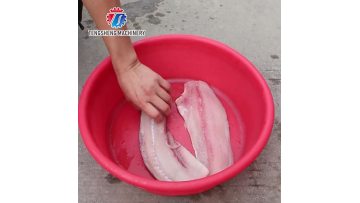 TS-SC2200 Automatic Commercial Fish Skin Remover Machine
