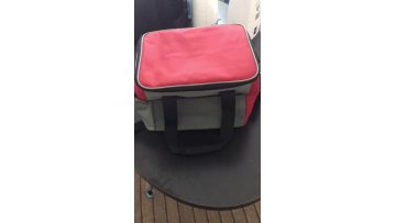 12V Plug 24L Portable Travel Electrical Picnic Cooler Bag For Car1