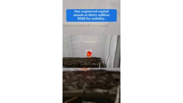 Video 27