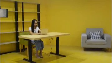 UD1/UD2 standing desk use.mp4