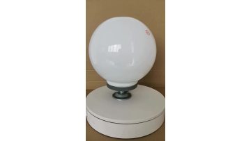 Garden wall light