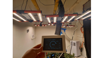 240w led grow light bar