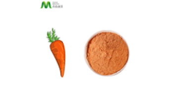 Bulk Price Dried Carrot Powder1