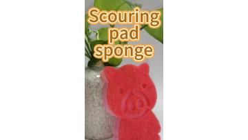 Kitchen Cleaning Sponge