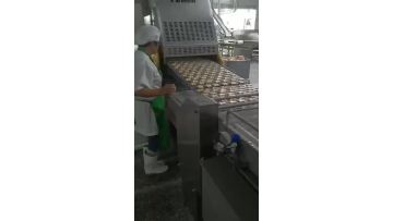 Stainless steel flat flex belt