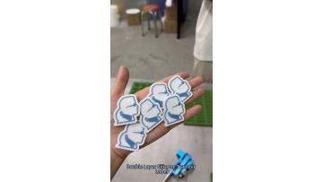 Double layer silicone transfer label