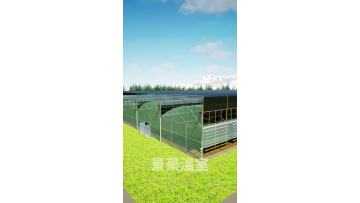 Greenhouse with External Shading