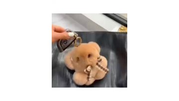 Plush toy making details