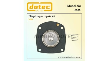 M25 diaphragm