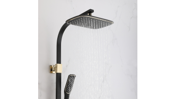 Black and Gold Shower Set - DL-14002BG