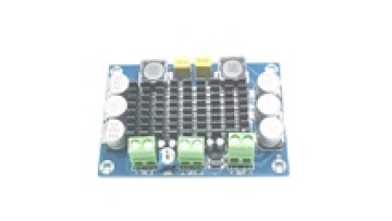 XH-M542 Mono 100W Digital Power Amplifier TPA3116D2 12-26V1