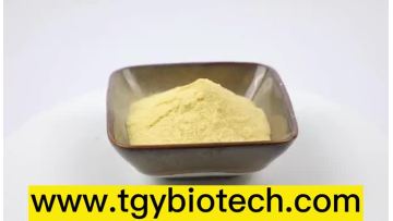 Coenzyme Q10 Powder