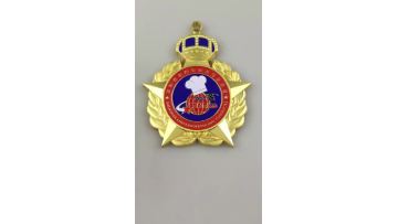Professional Commitiee Medal 