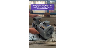 Video 30