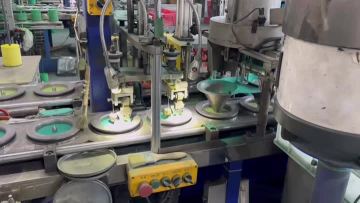 xinpeng video2