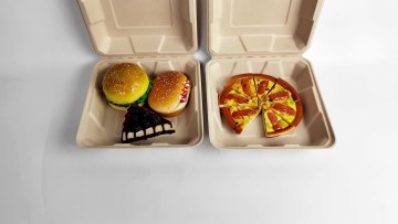 biodegradable bagasse food packaging fast food packaging boxes packaging for food1