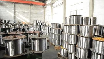 Workshop of Longlived Metal