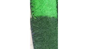 soccer grass light green