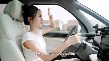 Car sun visor